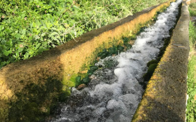 Woher kommt das Wasser auf Teneriffa?