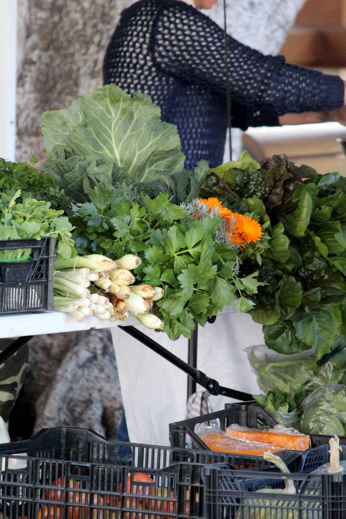 Markstand mit verschiedenem Gemüse auf einem Bauernmarkt auf Teneriffa