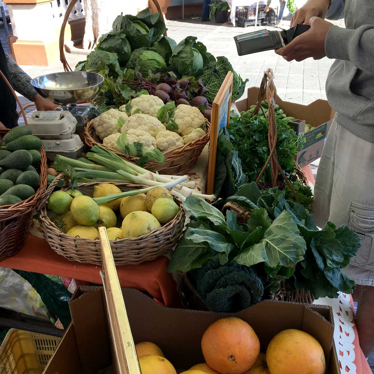 Frisches Obst und Gemüse gibt es auf den Bauernmärkten von Teneriffa