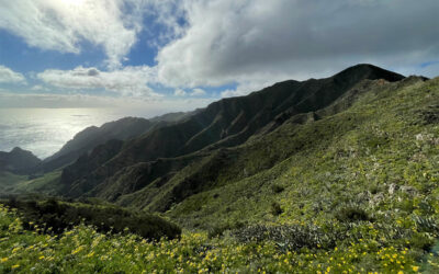 Teno-Gebirge: Spektakuläre Landschaft in Teneriffas Nordwesten