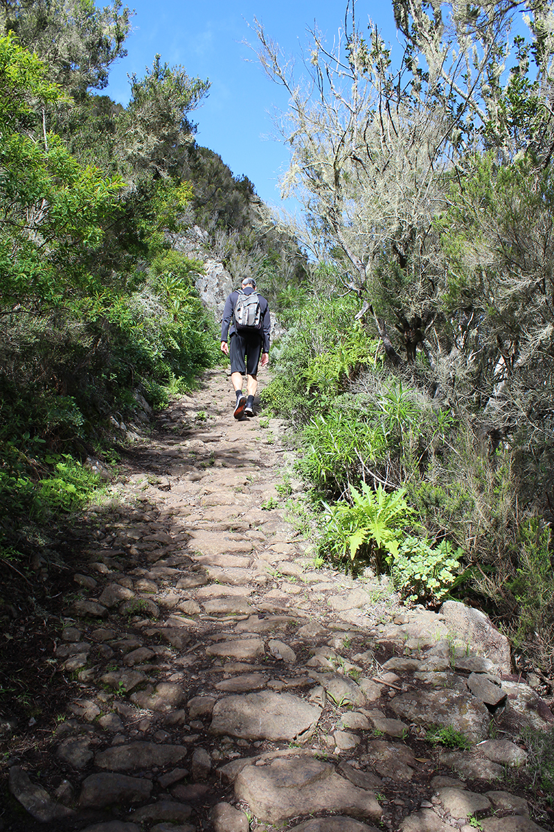 Alter Weg mit Felsbrocken gepflastert.