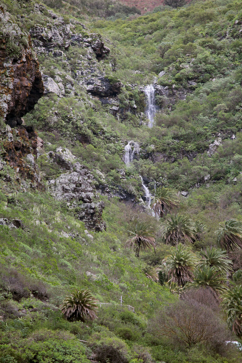 Wasserfall im thermophilen Buschwald