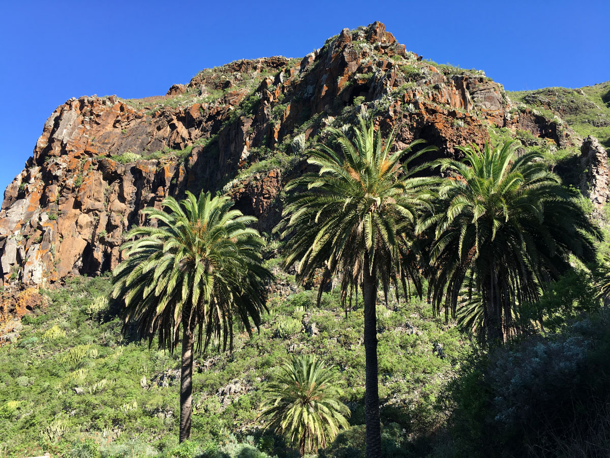 Buch Sitzeplätze in Flugrichtung links für einen Blick auf den Teide beim Landeanflug Teneriffa Reiseblog