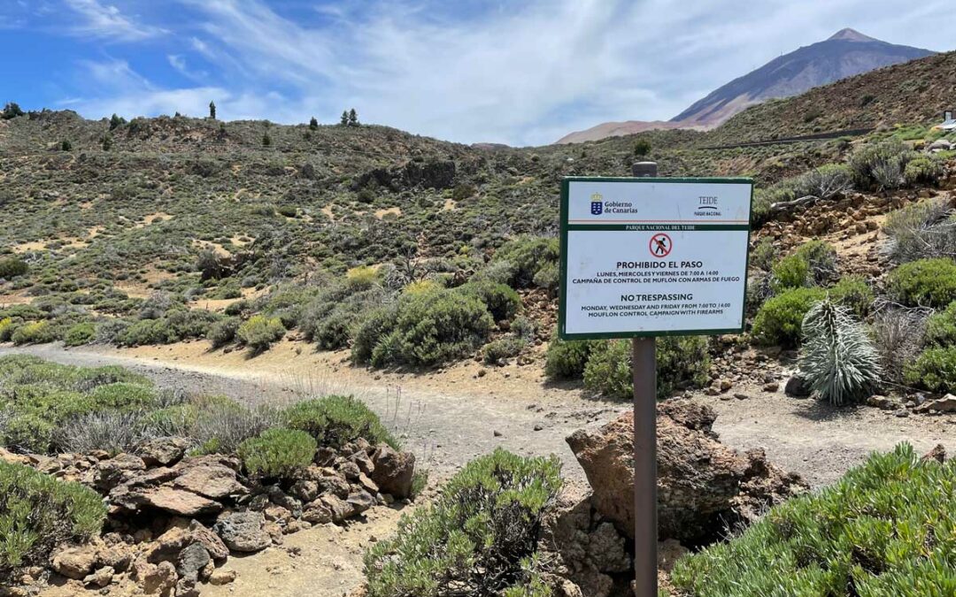 Schild zeigt Sperrung der Wanderwege am Teide auf Teneriffa