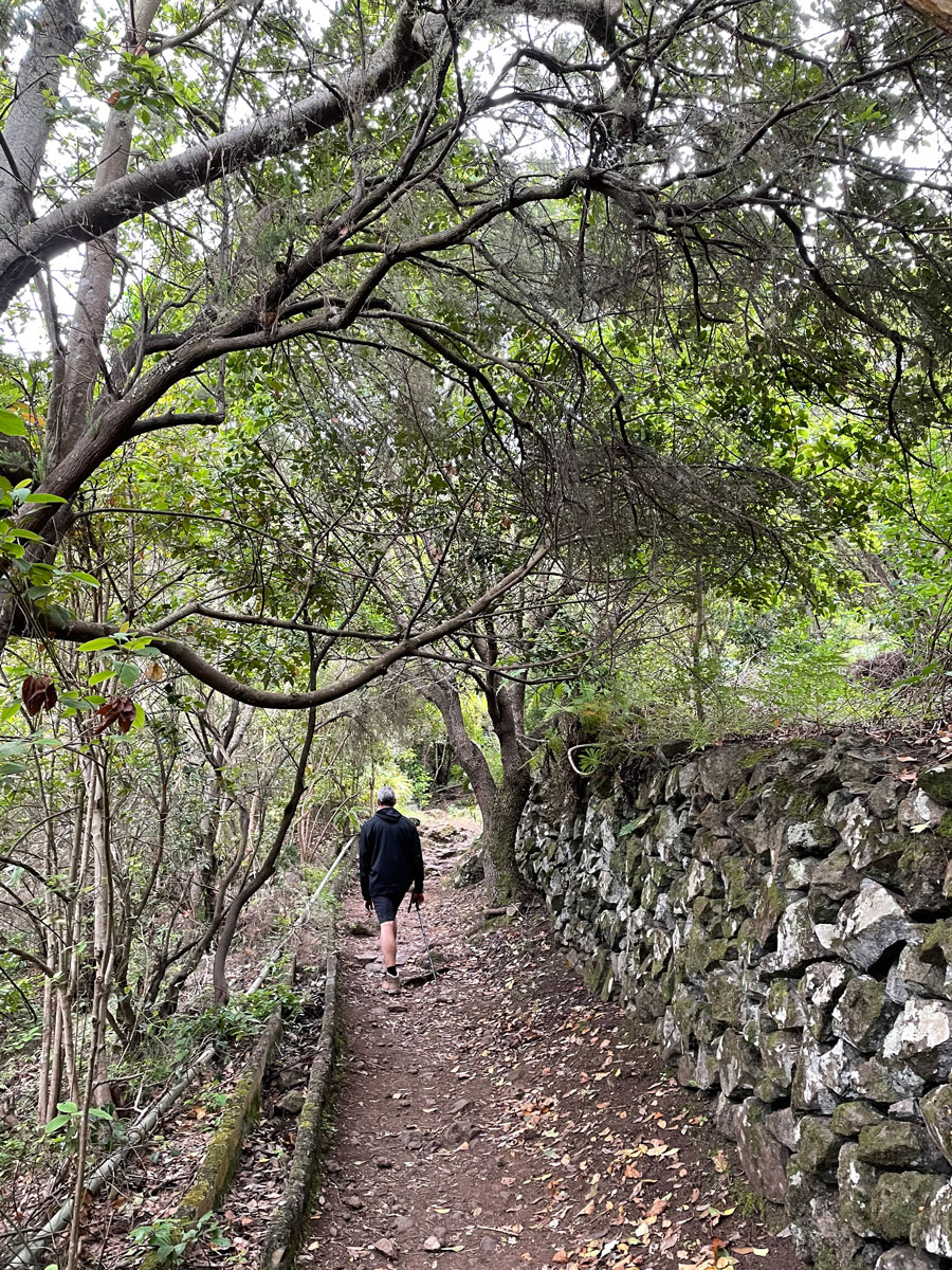 Ein Versammlungsort der Guanchen im Tenogebirge von Teneriffa