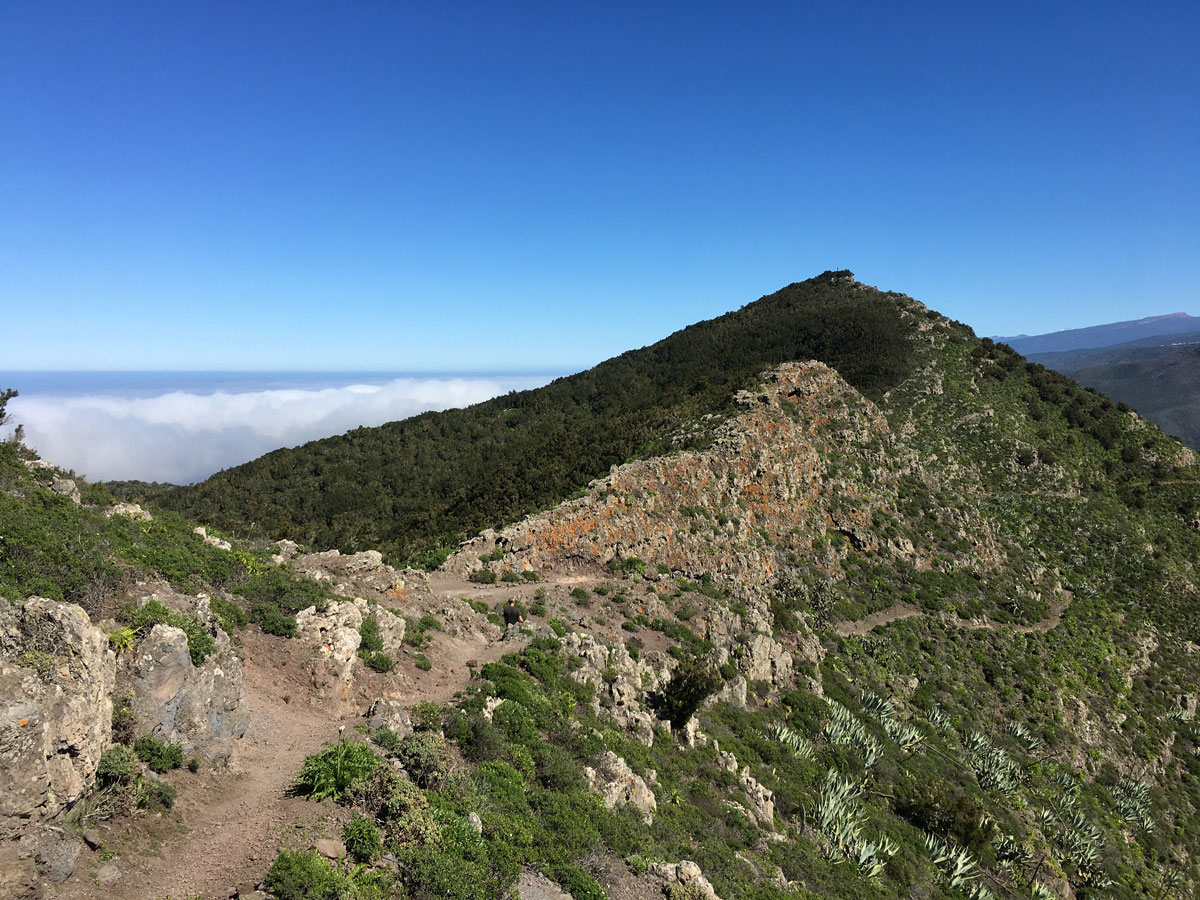 bergrücken teneriffa cumbre baracan