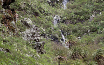 Zeitreise: wie Menschen Teneriffas Landschaft für immer veränderten