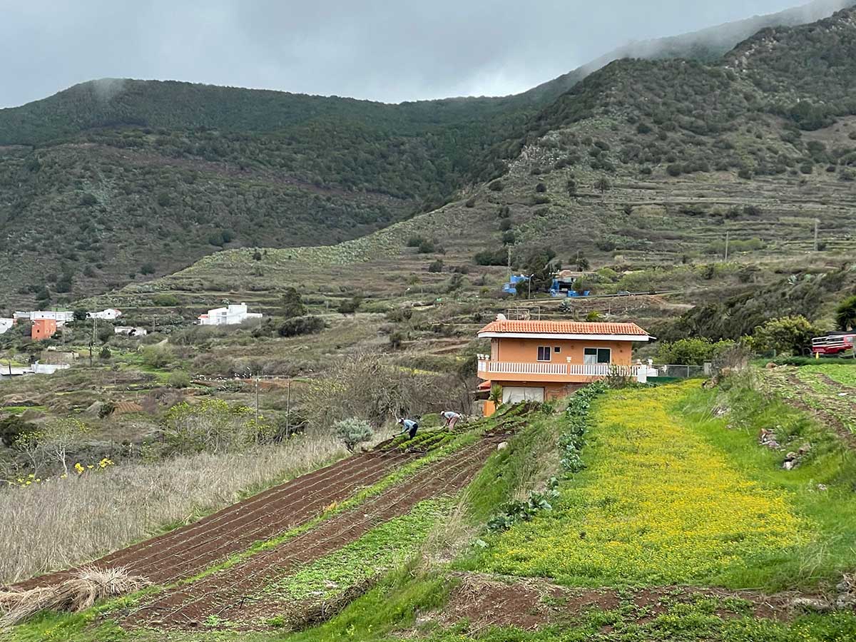 Buch Sitzeplätze in Flugrichtung links für einen Blick auf den Teide beim Landeanflug Teneriffa Reiseblog