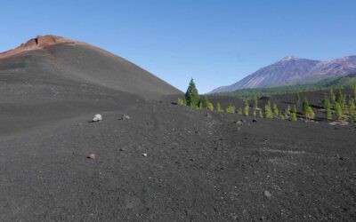 Wie Teneriffa entstand: aus drei Inseln wird eine