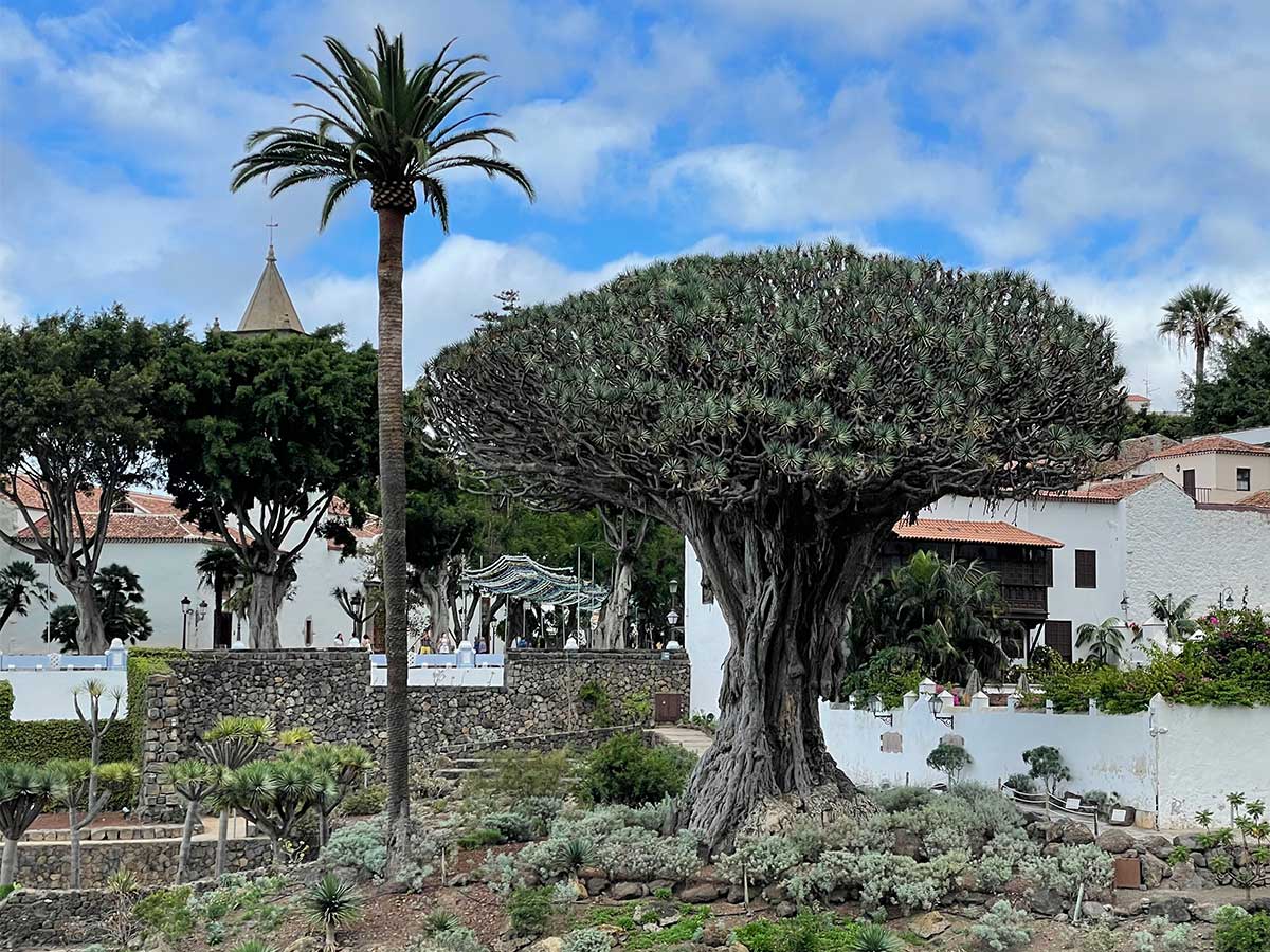 Das Bergdorf Masca ist eine der Sehenswürdigkeiten auf Teneriffa