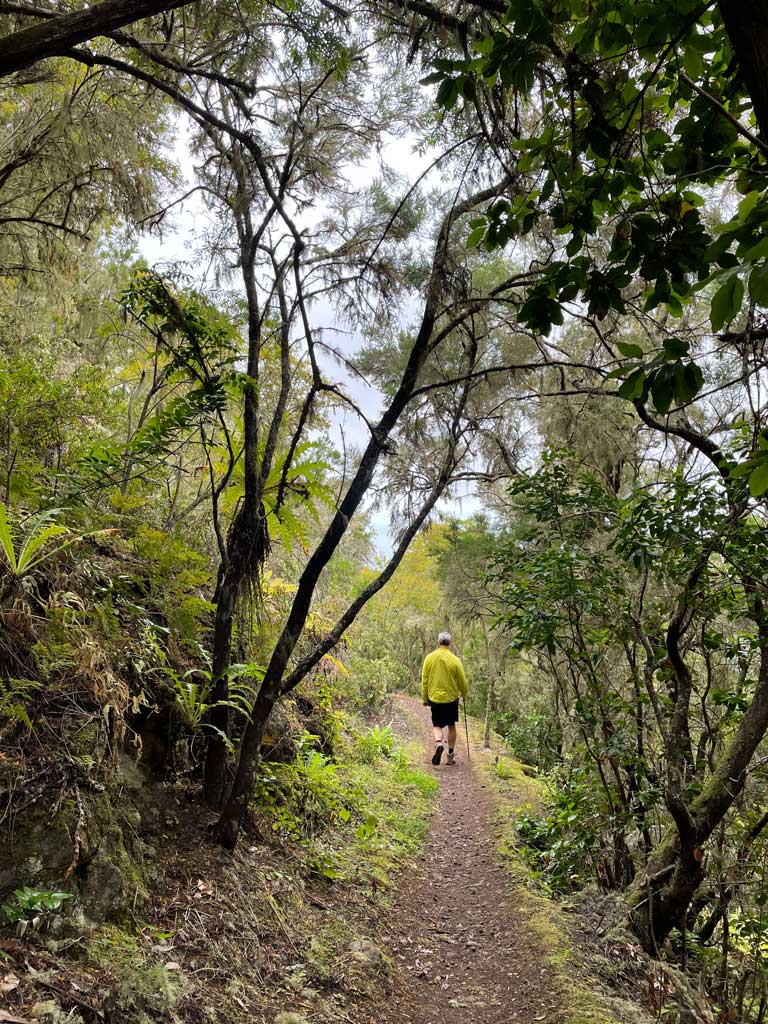 Ein Versammlungsort der Guanchen im Tenogebirge von Teneriffa