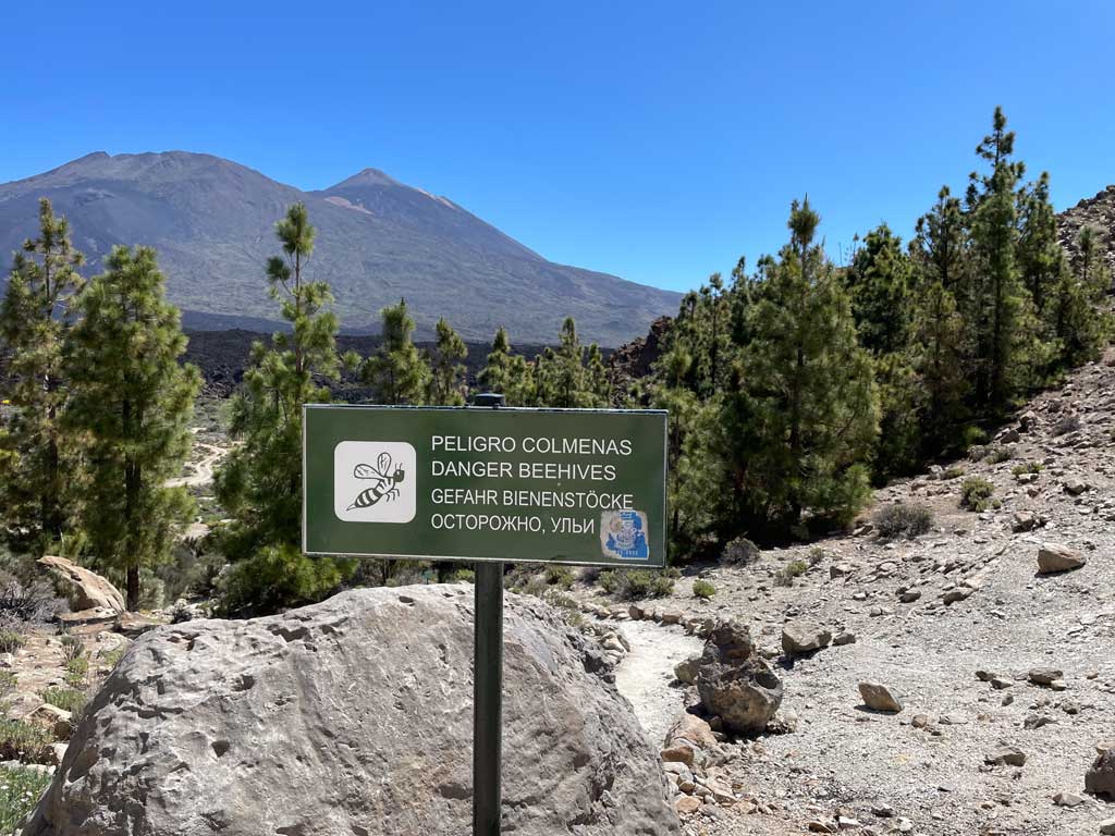 bienen-teide-teneriffa