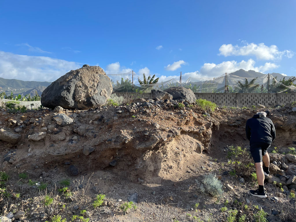 tsunami-isla-baja Eine fossiles, ausgeblichenes Schneckenhaus eingeschlossen in einem hellen Stein aus Geröll eingeschlossen.