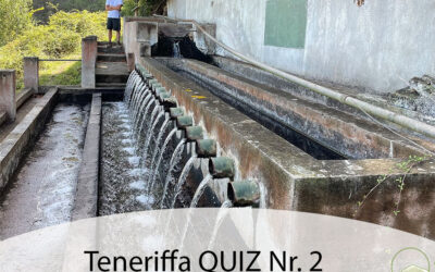 Teneriffa Quiz Nr. 2: Wasser