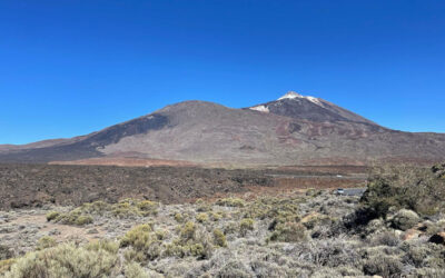 Erdbeben auf Teneriffa: Bricht der Teide aus?