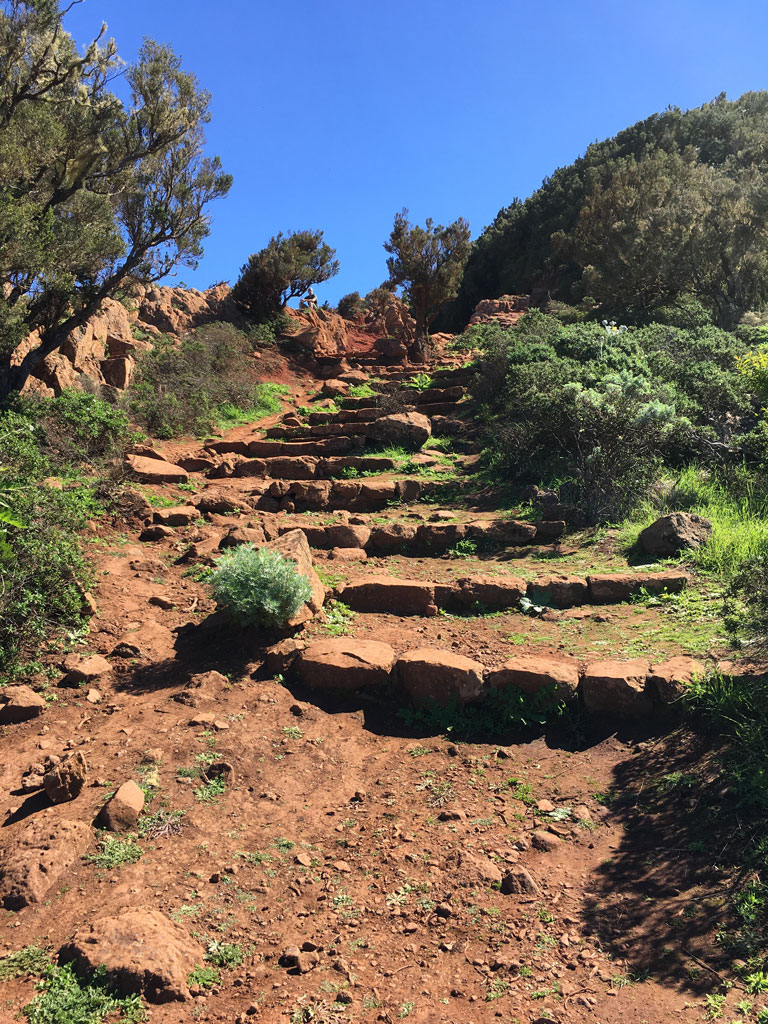 teno-alto-verwitterte-lava Meerfenchen direkt am Meer