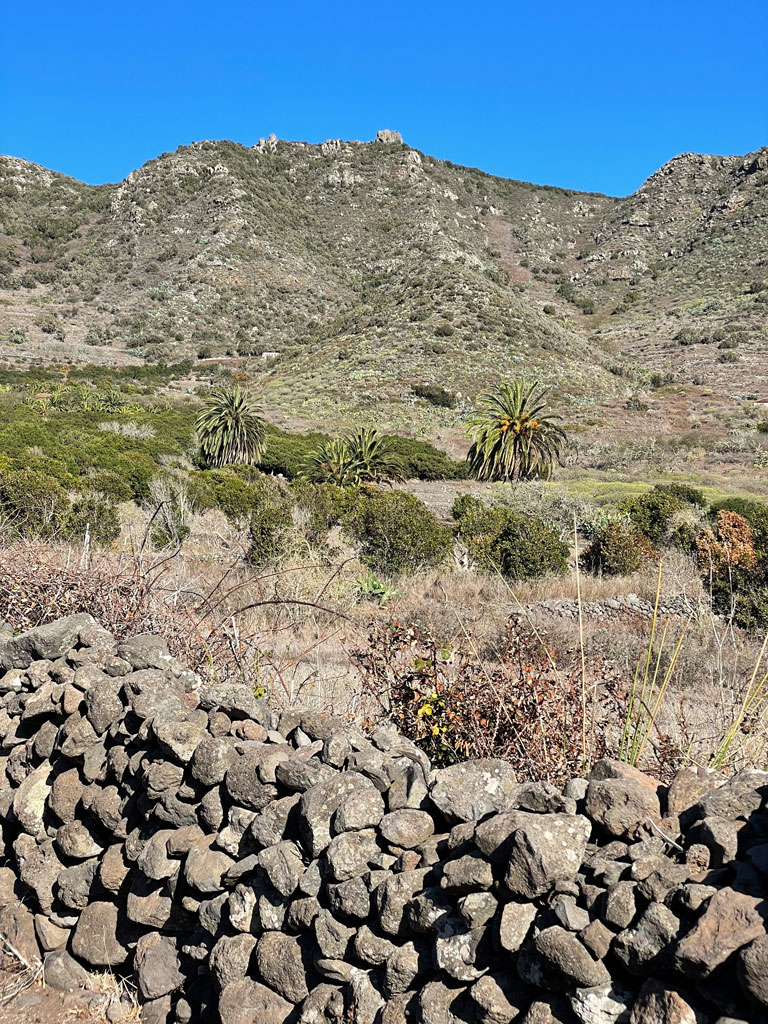 terassenfelder-el-palmar Ein Versammlungsort der Guanchen im Tenogebirge von Teneriffa