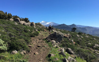 Rundwanderung: Höhenweg am Baracán – von El Palmar über Teno Alto