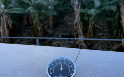 DANA: das nass-kalte Wetterphänomen